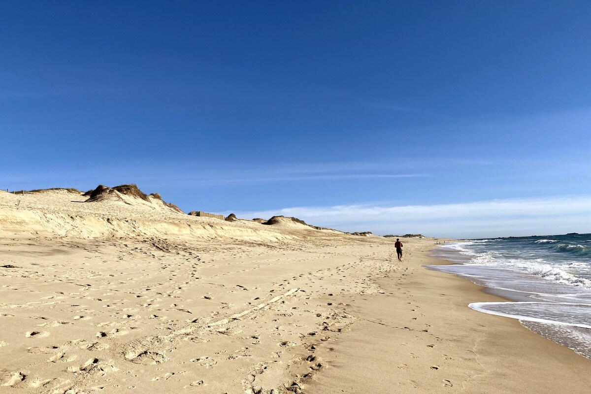 Dünen und Strandzugang